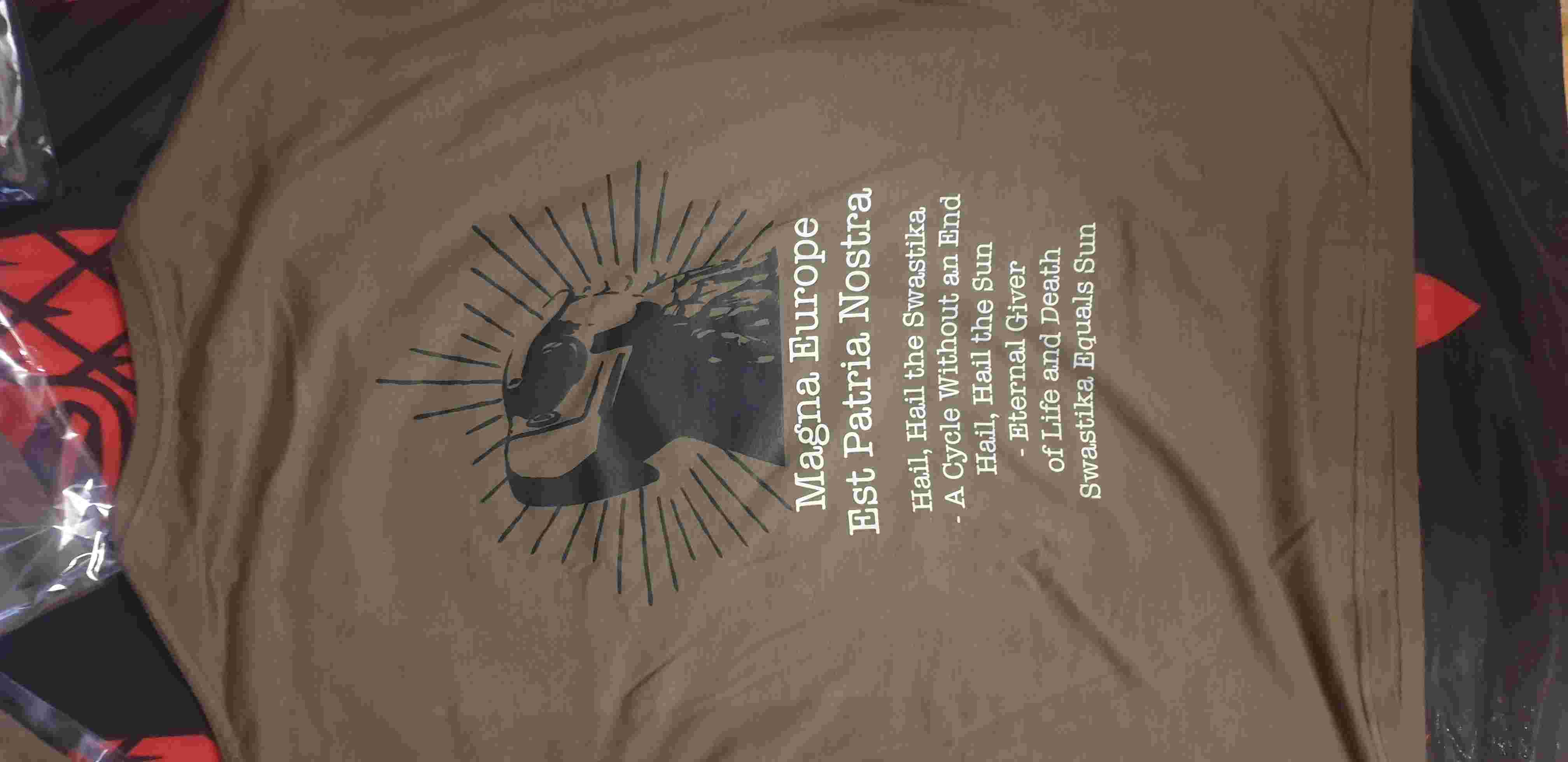 Blood & Soil - The Swastika & The Sun official ts  khaki - Old Forest Production image 3