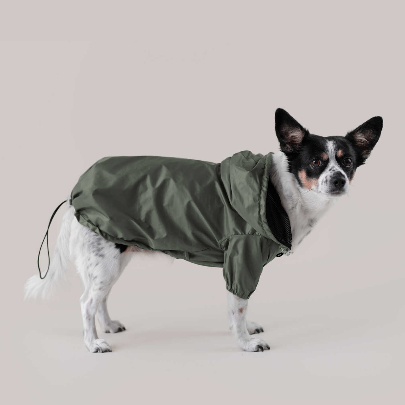 Rainy Jacket khaki kurtka przeciwdeszczowa dla psa