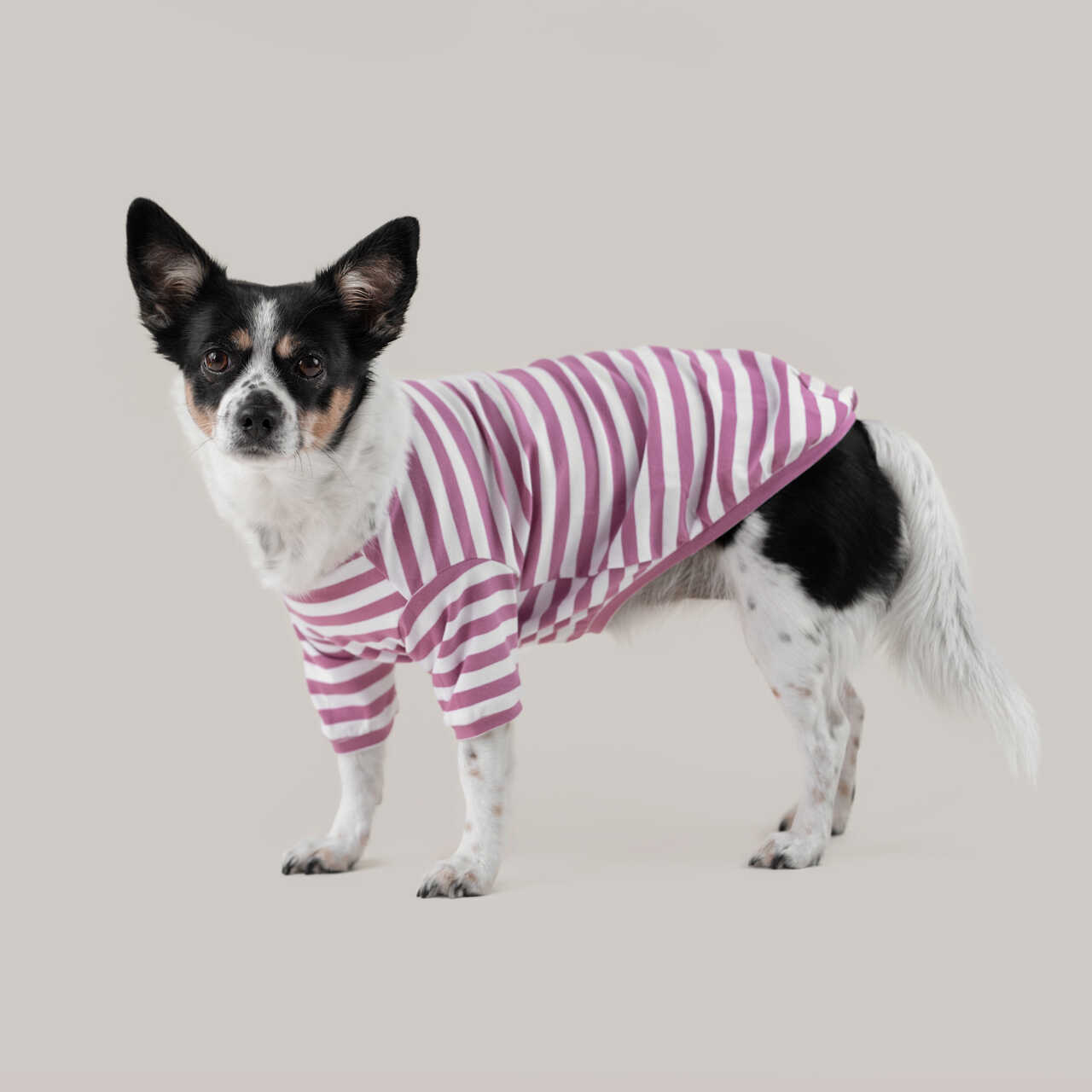 Strips shirt pink koszulka w paski dla psa