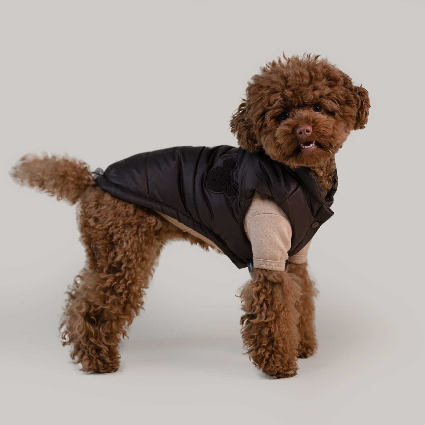 Ocieplana brązowa kurtka dla psa Puff Vest