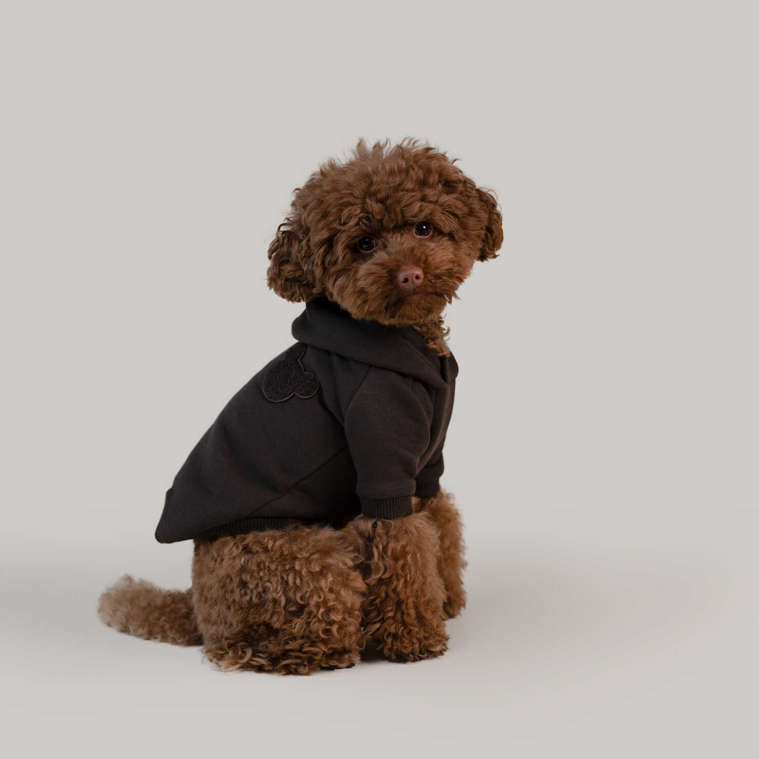Brązowa bluza z kapturem dla psa bear hoodie