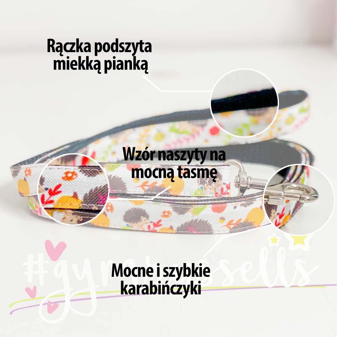 Psi piłkarz miejska smycz dla psa - Gymrussells zdjęcie 2