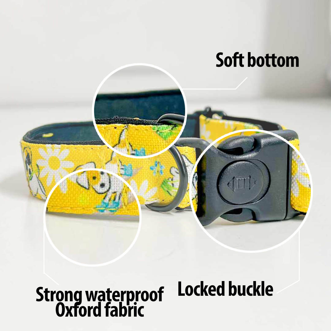JrtLove yellow dog collar for Jack Russells - Gymrussells image 4