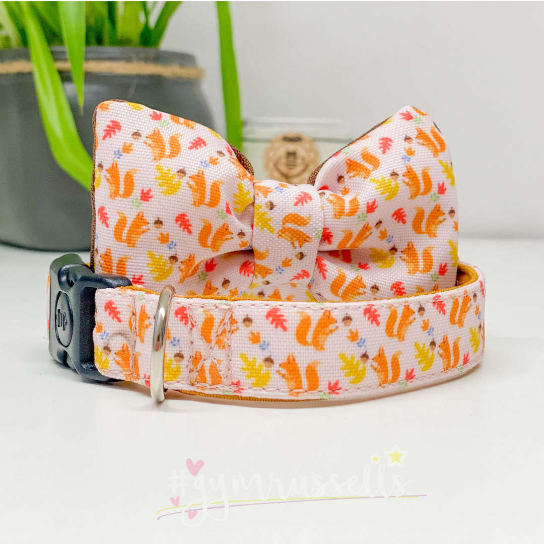 Squirrell dog bowties - Gymrussells image 1