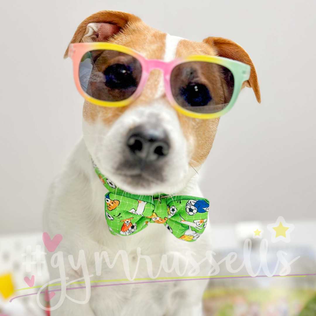 Footballer dog bowties - Gymrussells image 2