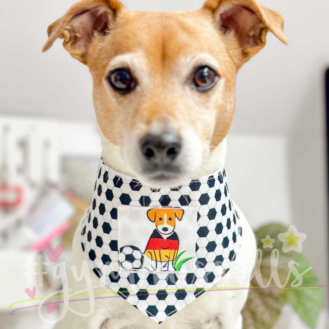 Dog Football fan bandana. Dog in a country flag t-shirt. Countries - Gymrussells image 1