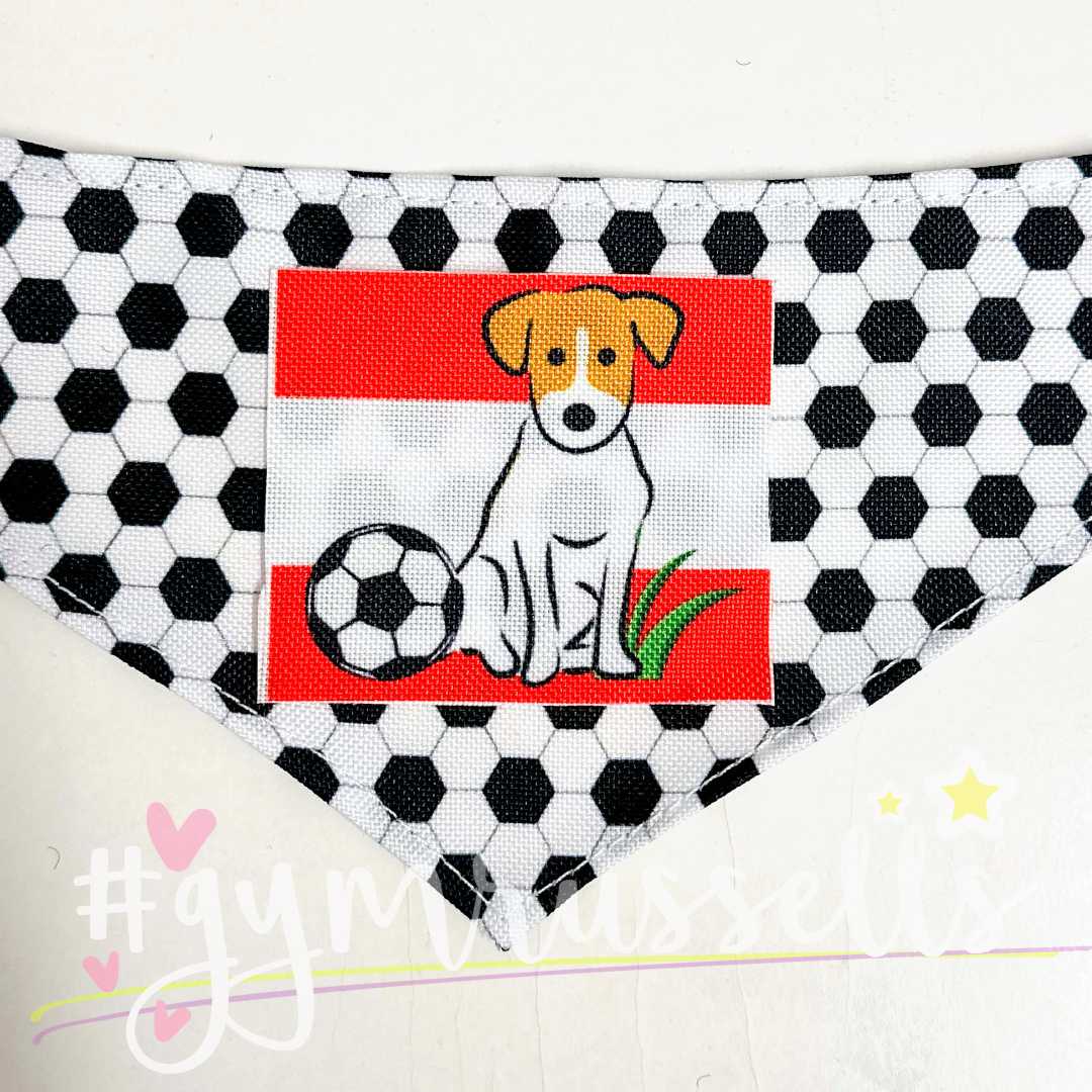 Dog Football fan bandana. Dog on a country flag t-shirt. Countries - Gymrussells image 4