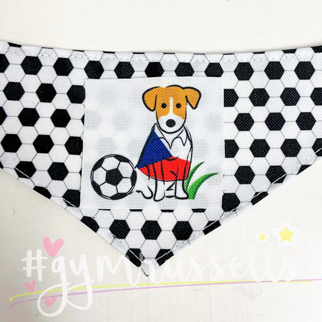 Dog Football fan bandana. Dog in a country flag t-shirt. Countries - Gymrussells image 3