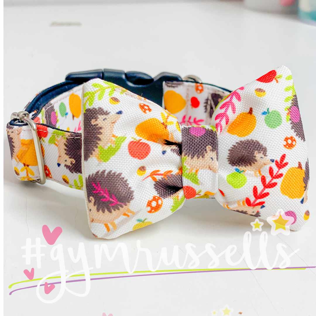 Carrington hedgehog dog bowties - Gymrussells image 1