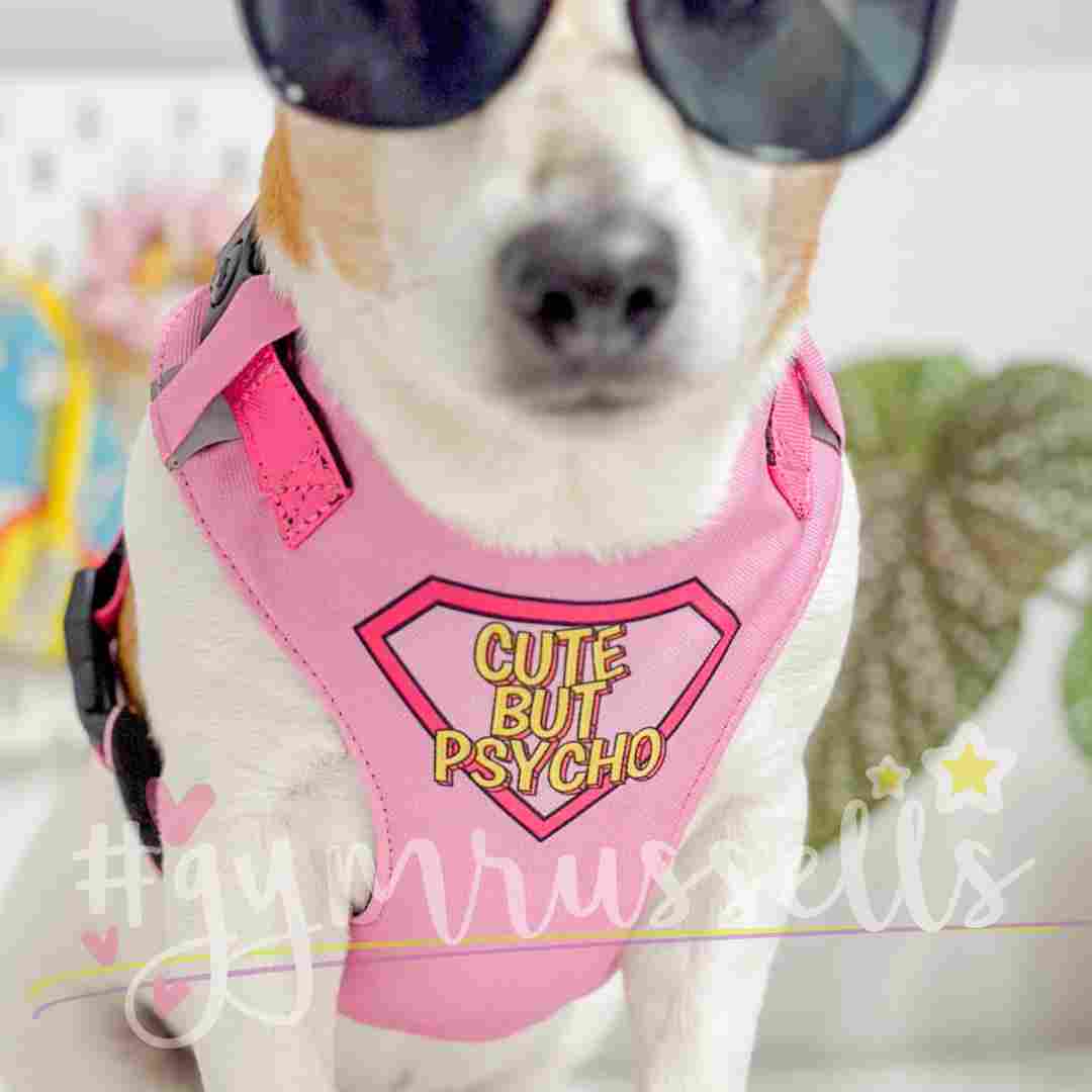 Cute but Psycho harness in pink - Gymrussells image 1