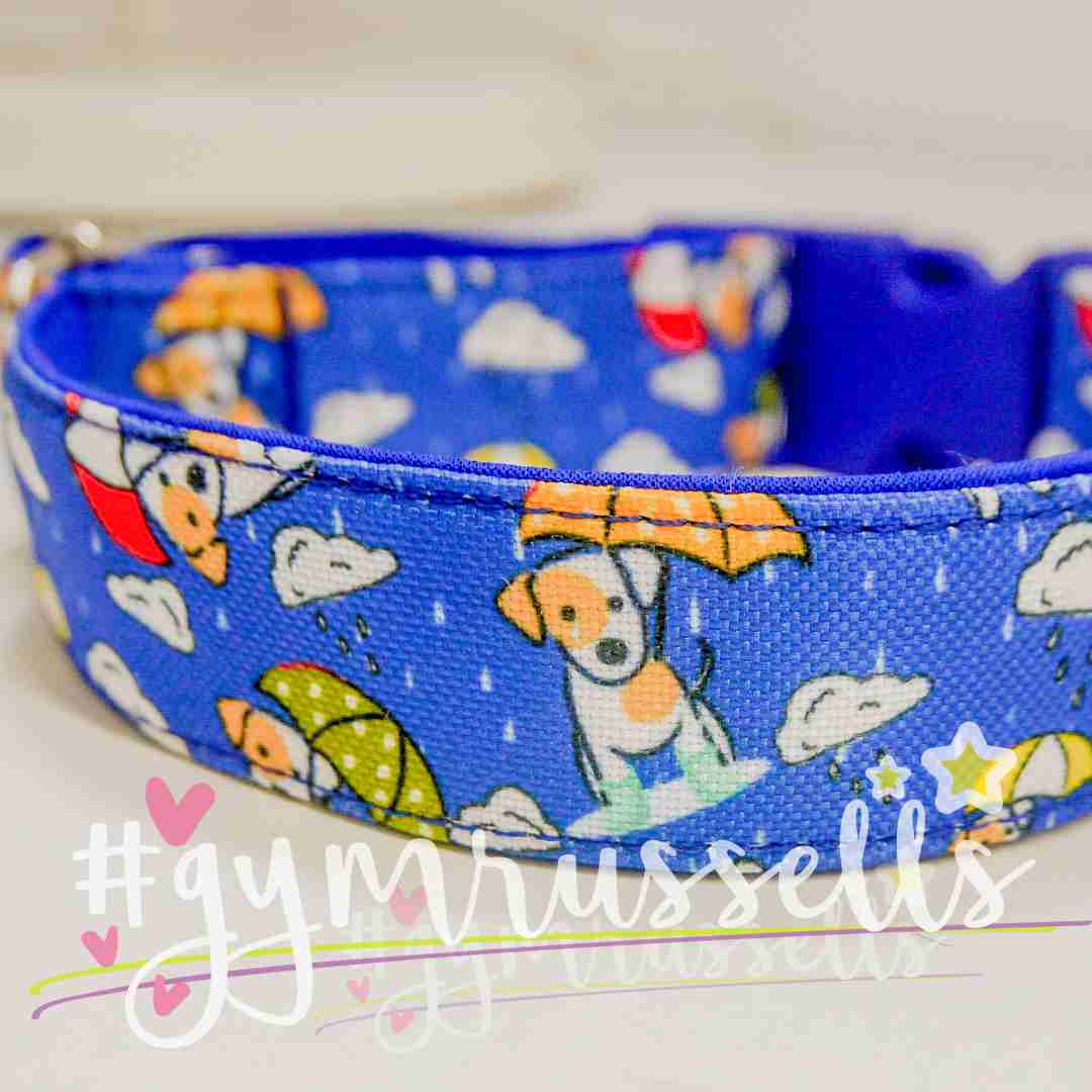 Rainy doggie blue collar - Gymrussells image 2