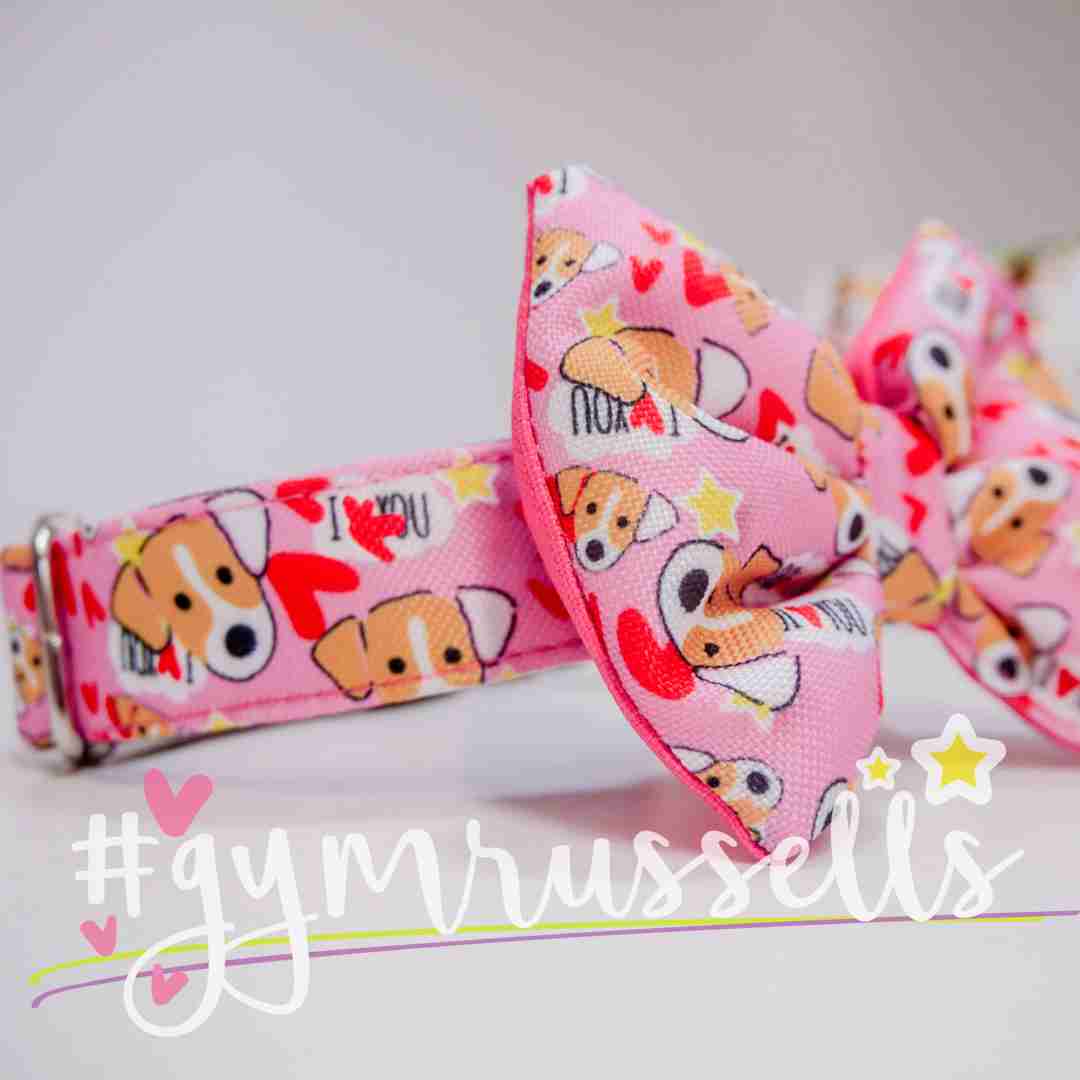 JrtLove pink dog collar for Russells - Gymrussells image 3