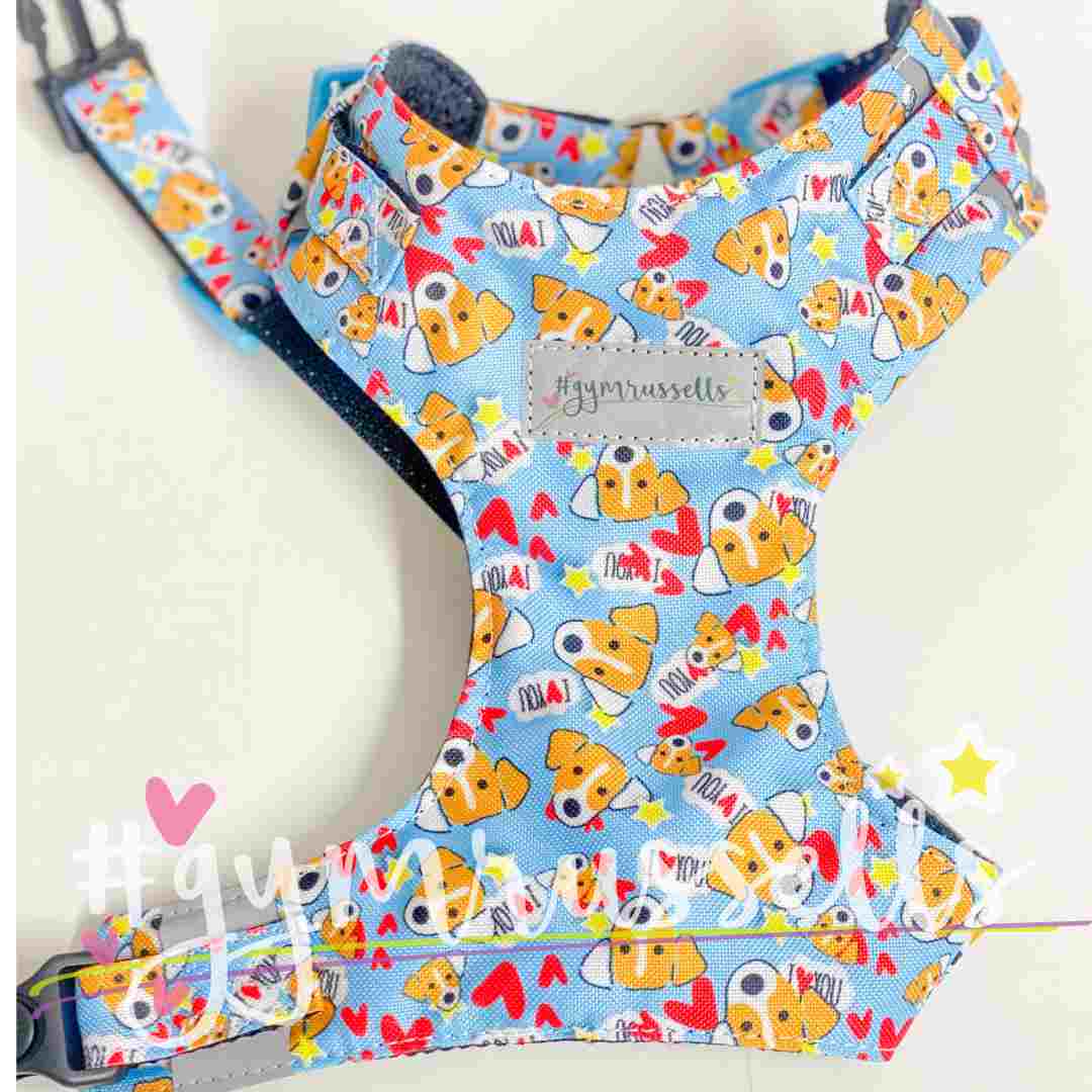 JRTlove baby blue Chest harness  - Gymrussells image 2