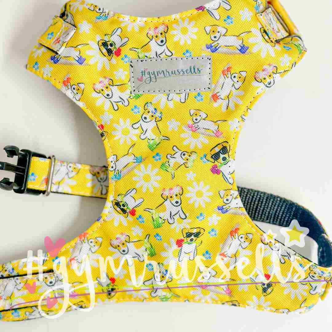 Spring Doggie yellow chest harness - Gymrussells image 2