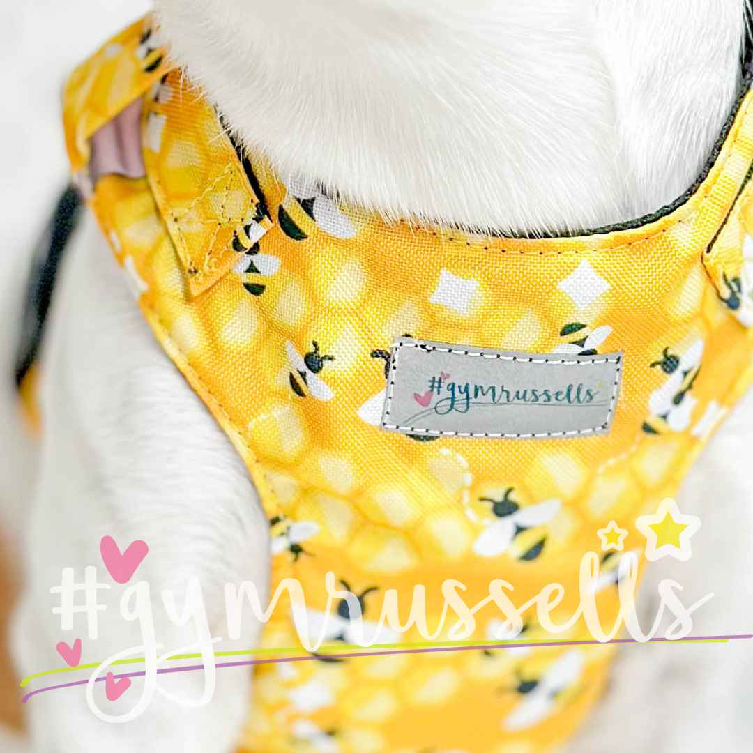 Bees Chest dog harness - Gymrussells image 2