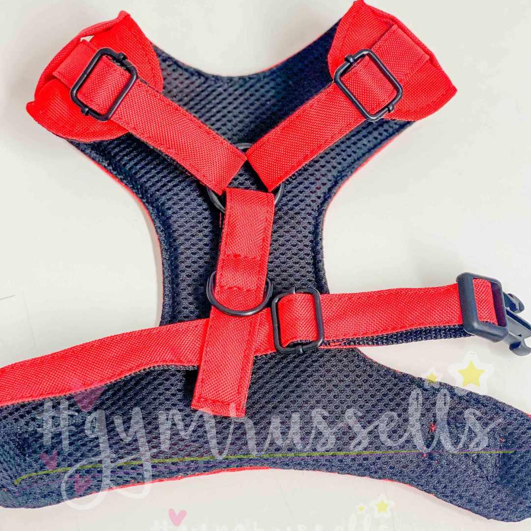 Mały diabełek chest harness - Gymrussells image 4
