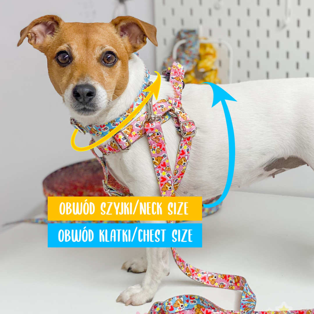 #1 pooper dog strap harness - Gymrussells image 3