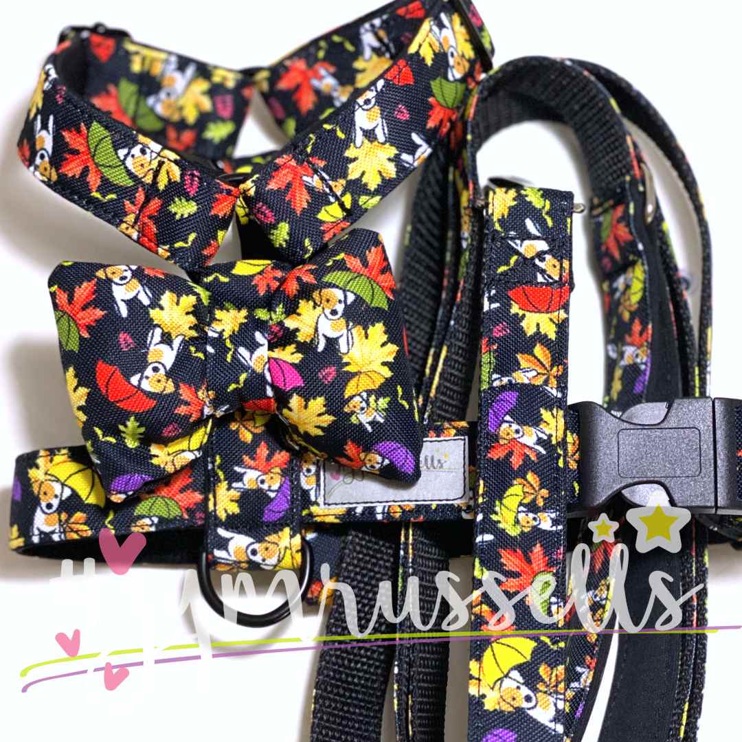 Autumn dogie dog strap harness - Gymrussells image 2