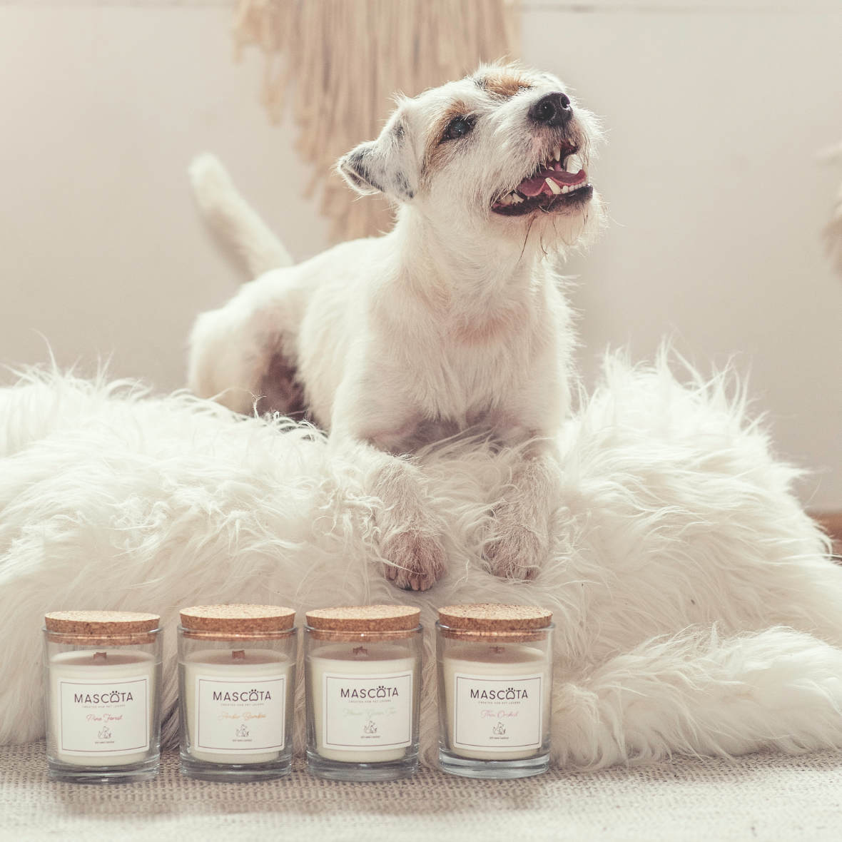 Scented candles neutralising the smell of animals image 1