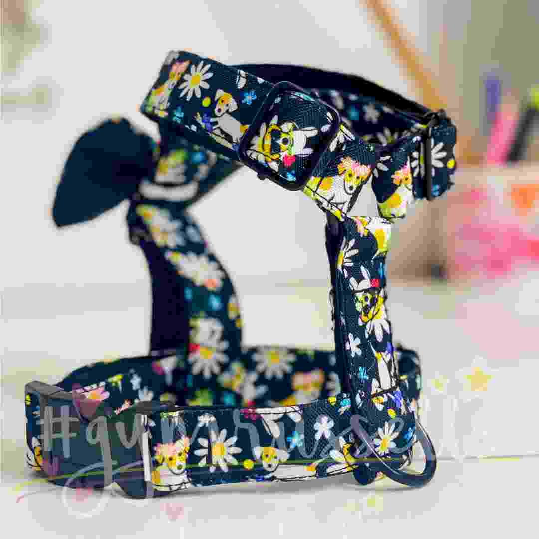 Spring doggie strap harness in black - Gymrussells image 2