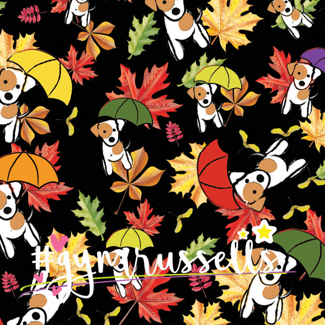 Jesienny piesek Szelki bezuciskowe dla psa - Gymrussells zdjęcie 3