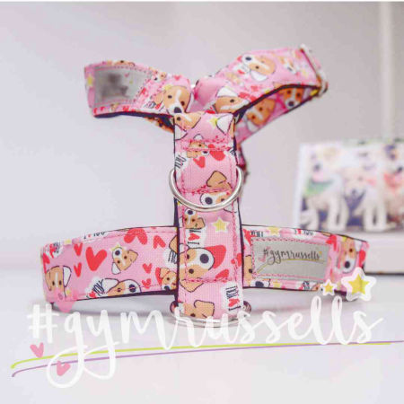 JRTlove pink strap harness - Gymrussells image 1