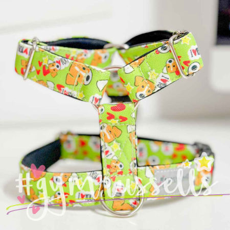 JRTlove green strap harness - Gymrussells image 2