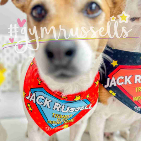 Dog bandana "Jack Russell, Trouble is my middle name" - Gymrussells image 3