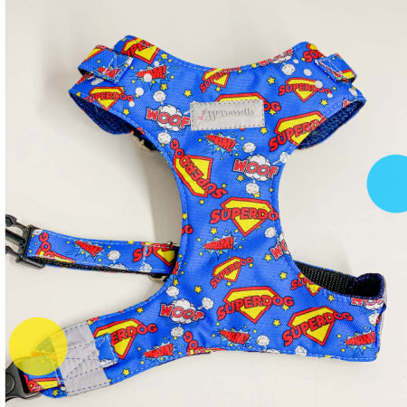 Superdog chest harness in blue - Gymrussells image 3