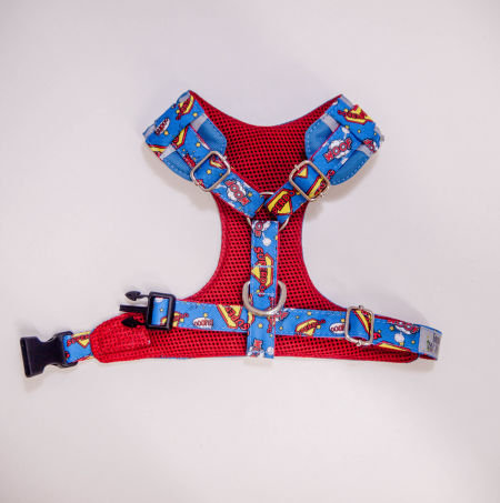 Superdog chest harness in blue - Gymrussells image 4