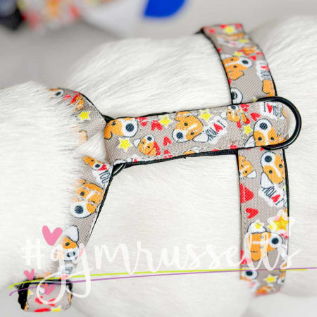 JRTlove Gray strap harness - Gymrussells image 3