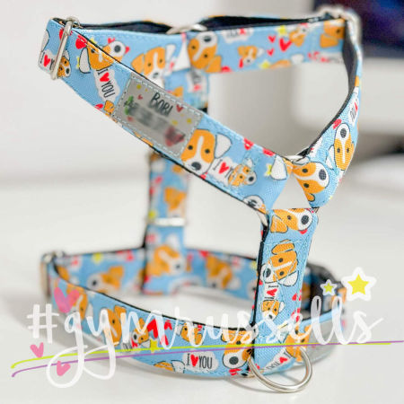 Strap harness for Jack Russell Jrtlove in baby blue - Gymrussells image 4