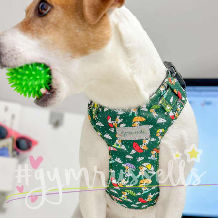 Rainy doggie chest harness in green image 4