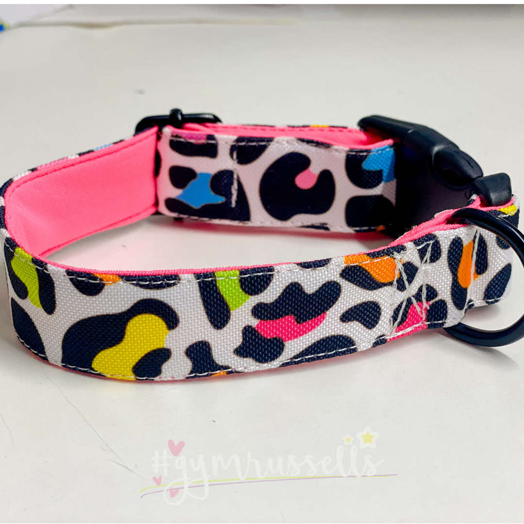 Rainbow leopard dog collar - Gymrussells image 2