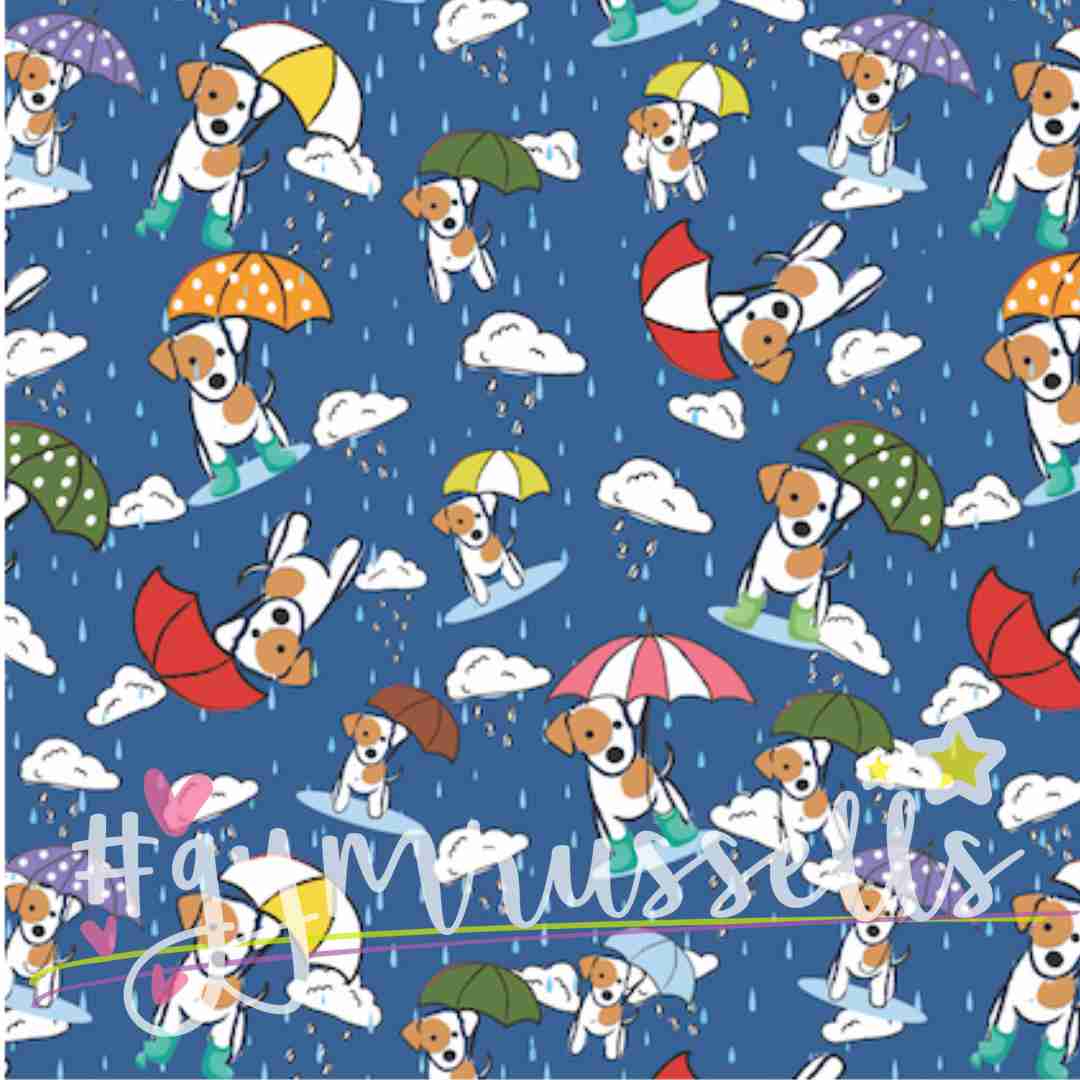 Deszczowy piesek niebieska klasyczna smycz miejska dla psa - Gymrussells zdjęcie 1