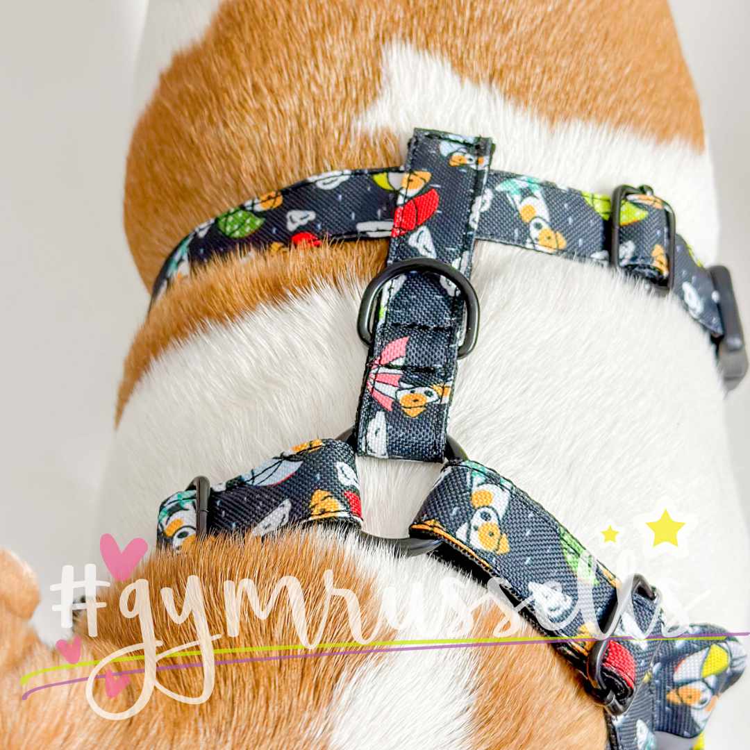 Rainy doggie black Chest harness  - Gymrussells image 4
