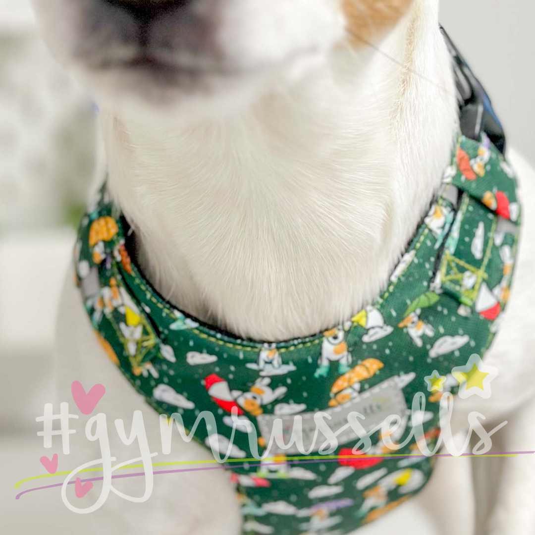 Rainy doggie chest harness in green - Gymrussells image 3