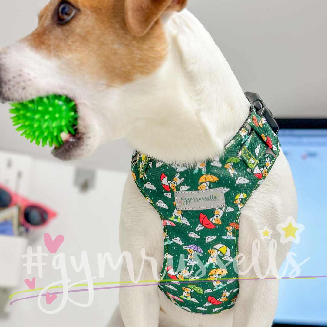 Rainy doggie chest harness in green - Gymrussells image 4