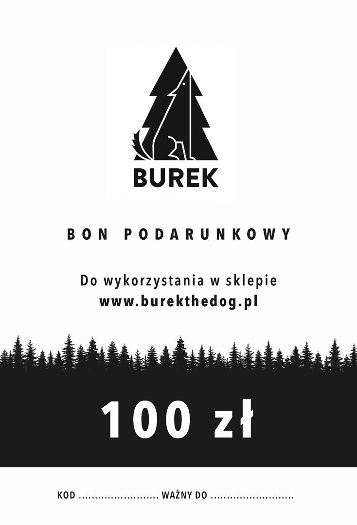 Bon podarunkowy 100 PLN zdjęcie 1