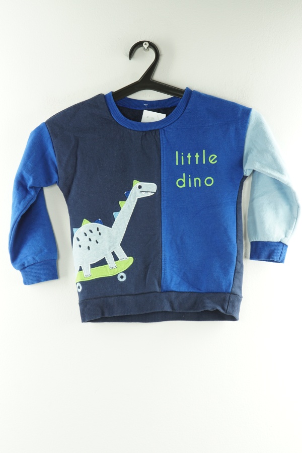 Bluza granatowo-niebieska dinozaur - DUNNES STORES zdjęcie 1