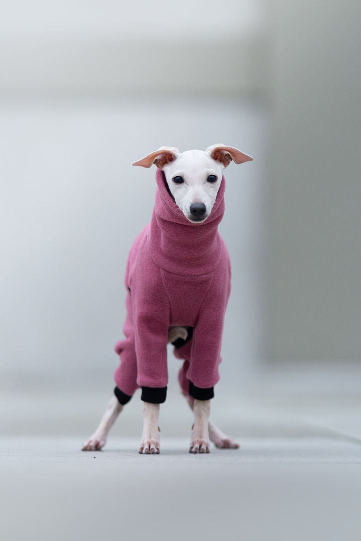 Pink fleece jumpsuit PUPPY - GreyIggy image 1
