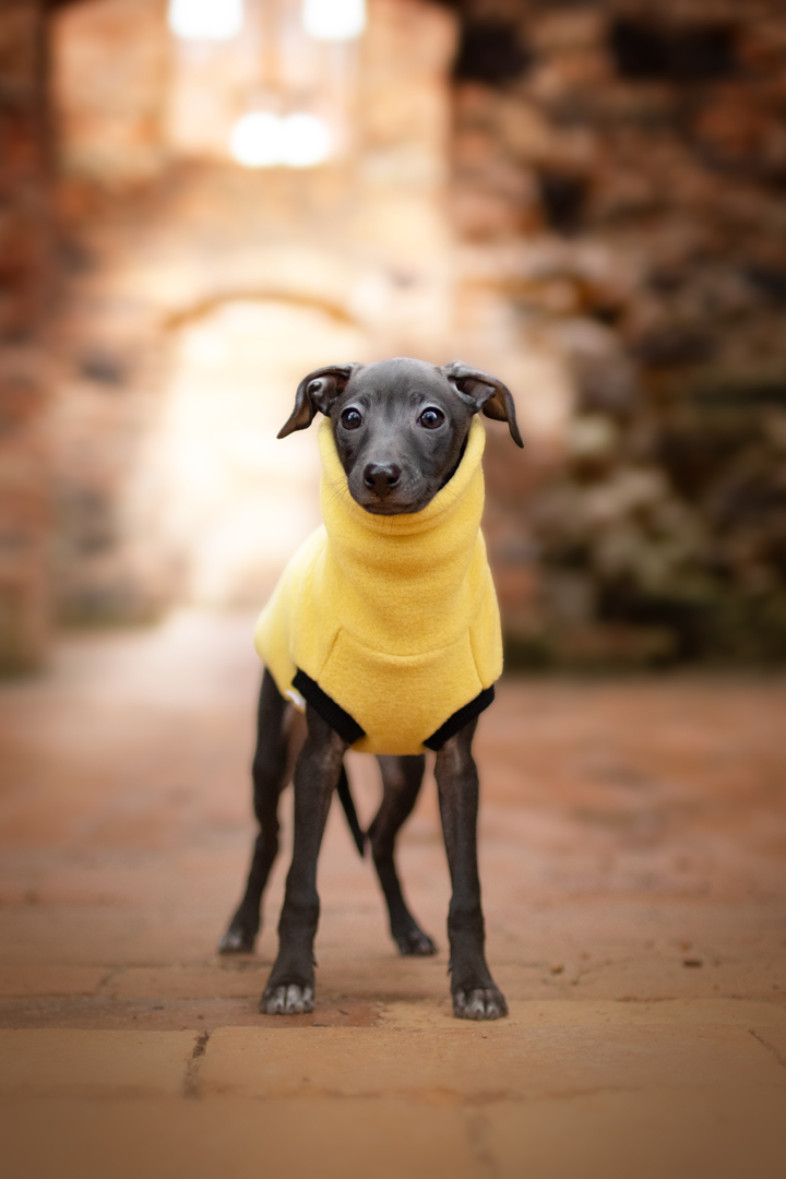 Bezrękawnik polarowy PUPPY - różne kolory - GreyIggy zdjęcie 2