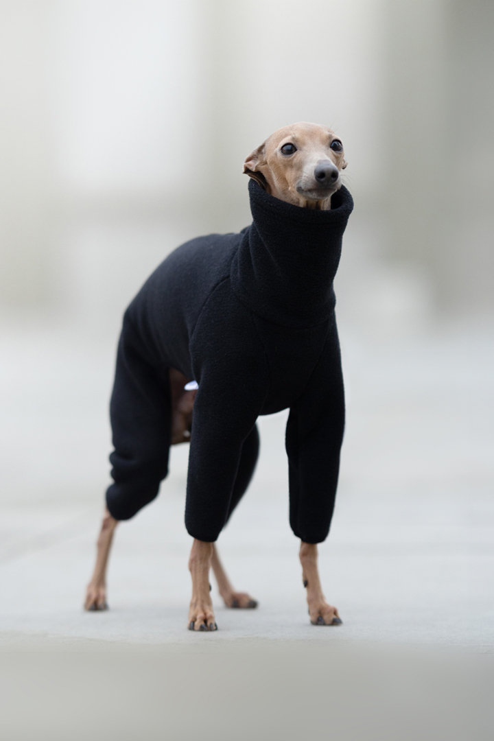Premium black fleece jumpsuit - zipper - GreyIggy image 1