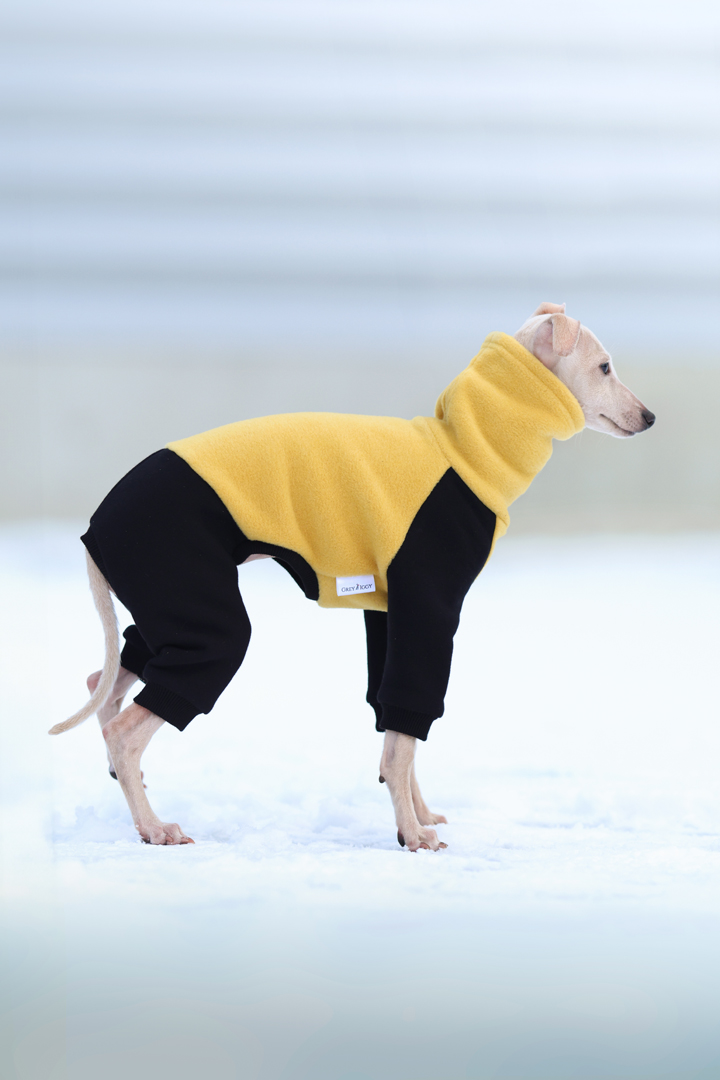 Kombinezon polarowo-dresowy PUPPY - zółto czarny - GreyIggy zdjęcie 2