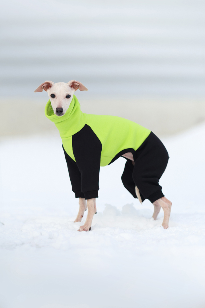 Kombinezon dresowy PUPPY - limonka neonowa - GreyIggy zdjęcie 2