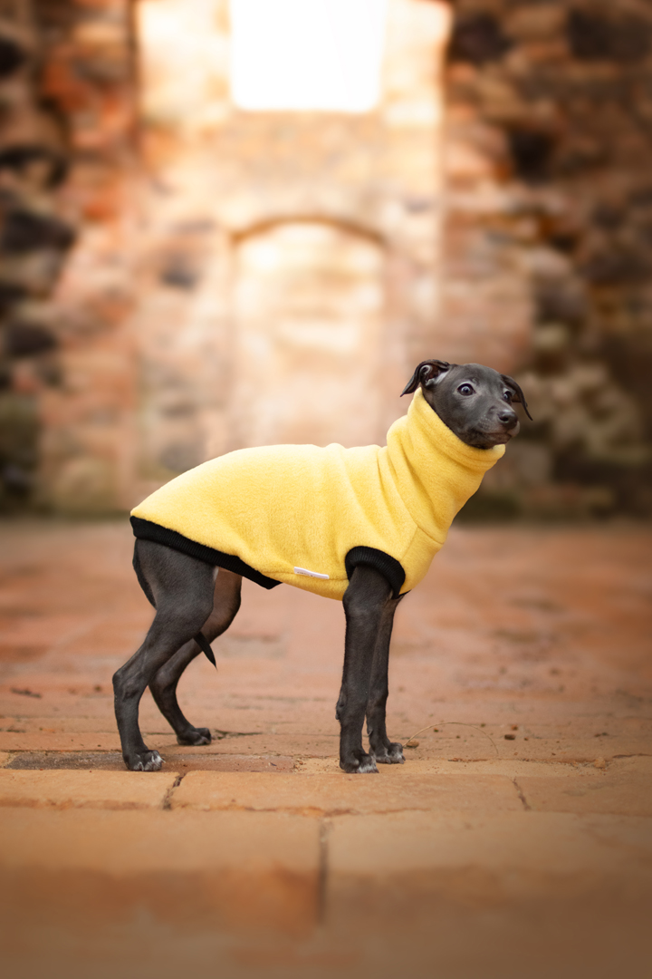 Bezrękawnik polarowy PUPPY - różne kolory - GreyIggy zdjęcie 3