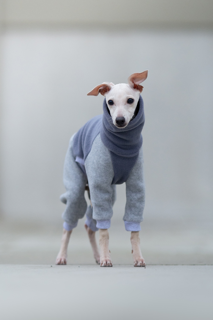 Blue and grey fleece jumpsuit PUPPY - GreyIggy image 1