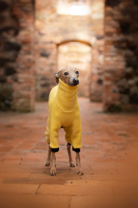 Yellow fleece jumpsuit image 1