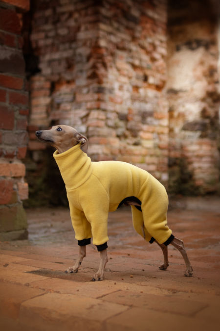 Yellow fleece jumpsuit image 2