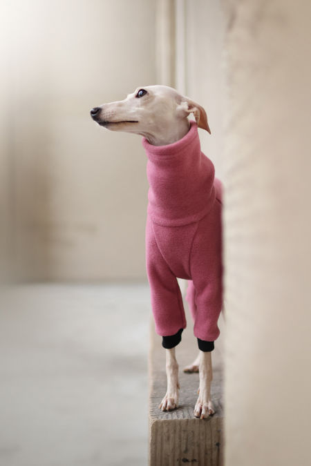 Pink fleece jumpsuit - GreyIggy image 1